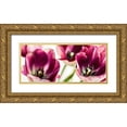 thumbnail image 1 of Bsmart 24x13 Gold Ornate Wood Framed with Double Matting Museum Art Print Titled - TULIPS IV, 1 of 4