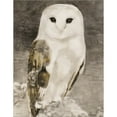thumbnail image 2 of Great Art Now Snowy Owl 1 by Stellar Design Studio, Framed Wall Art, 20W x 23.5H, 2 of 2