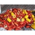 thumbnail image 2 of Creative Cajun Cajun Spice Seafood Boil Bag, 1 Lb, Low Calorie, 2 of 4