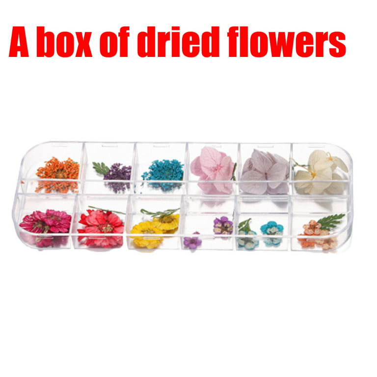 A Box Real Natural Dried Flowers for Resin, Bulk Natural Herbs Kit for Candles, Epoxy Resin, Soap Making, Scrapbooking, Crafts, Painting, Size: A Box