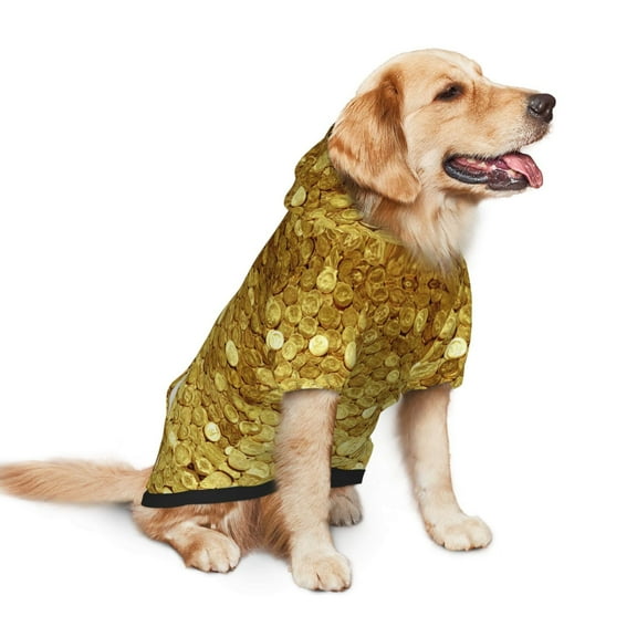 Gold Coins Amazing Dog Hoodie Colorful Pullover Sweatshirts Small