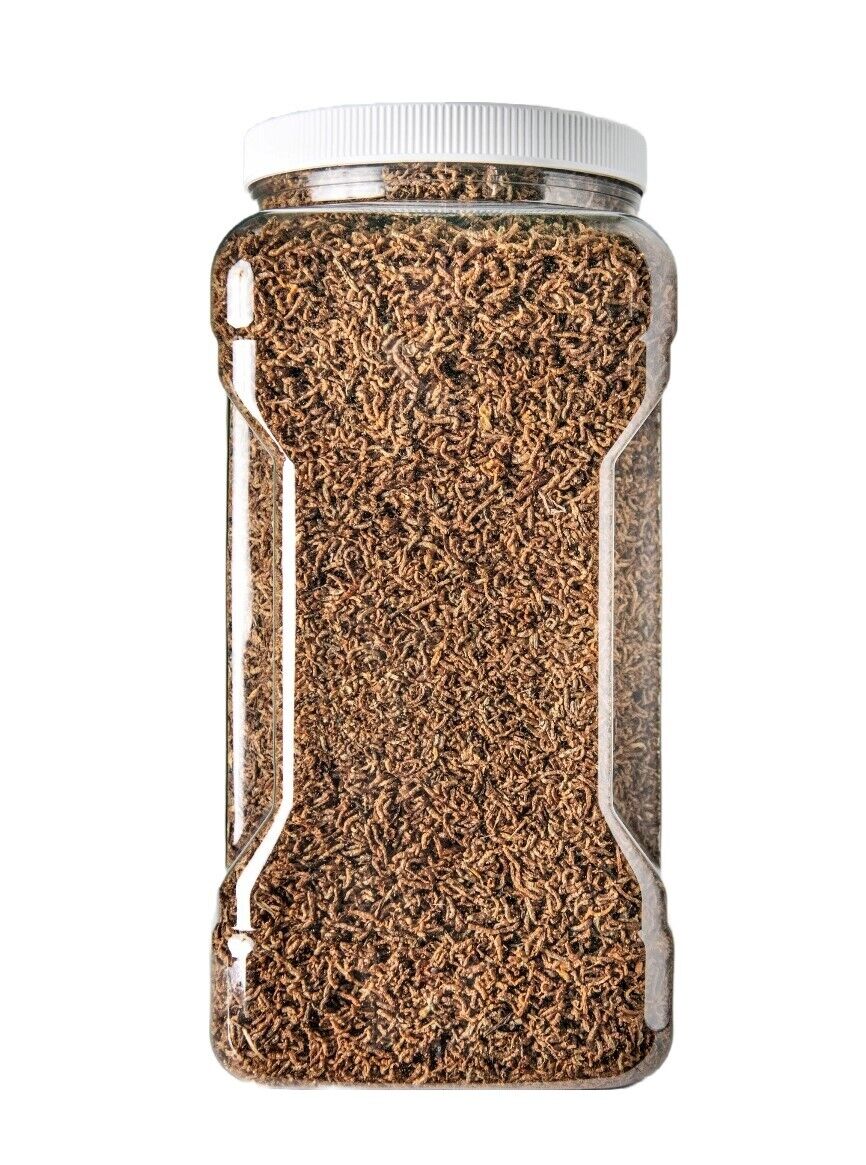 Bloodworms- Freeze Dried Grade "A" Floating Bloodworms for Discus, Cichlids, All Tropical Fish, Carnivore Plants…1-lb Lg Jar
