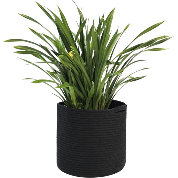 Yardley London Round Black Cotton Plant Planter with Handles