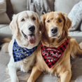 thumbnail image 5 of Promoted to Big Brother Dog Bandana 2 Pack Plaid Dog Bandana Triangle Pet Dog Scarf Pregnancy Announcement Dog Bandana Gender Reveal Dog Outfit Gift for Dog Lover Owner (Blue,Red) Small, 5 of 6