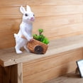 thumbnail image 4 of s de bonsái, Bonsai s Adorno,Ventana  adorno decoración, con forma de animal,conejo,adorno de escritorio.,linda decoración de jardín con Baoblaze Macetas de bonsái, 4 of 8