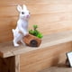 thumbnail image 4 of 2pcs Resin Flower Pot Bonsai Pot Container Flowerpot for Patio Desktop Decor Zulema Macetas de bonsái, 4 of 8