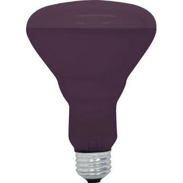 General Electric R30 Incandescent 75W Reflector Light Bulb