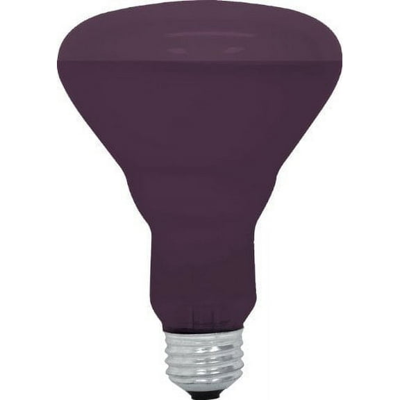 General Electric R30 Incandescent 75W Reflector Light Bulb