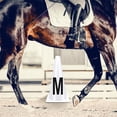 thumbnail image 4 of 4/8pcs Equestrians Athletes Training Cones Dressage Cones Stackable Equestrians Training Cones with Letters Sign Enduring, 4 of 8