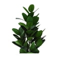 thumbnail image 4 of Artificial Plant - 28" Tall - Indoor - Floor - Potted - Green Leaves, 4 of 6