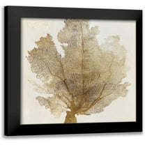 Wilson, Aimee 20x20 Black Modern Framed Museum Art Print Titled - Luxe Coral II