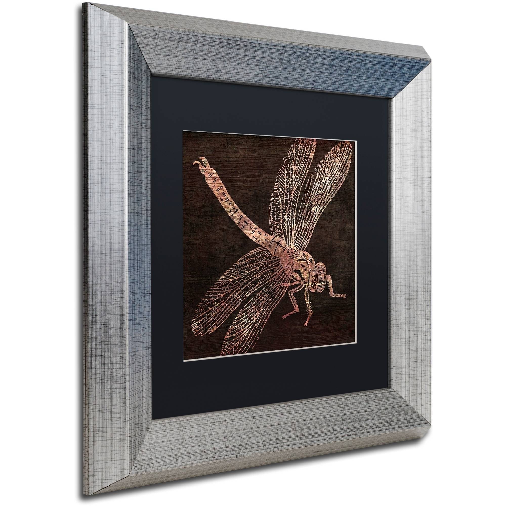 Trademark Fine Art "Dragonfly" Canvas Art by Color Bakery Black Matte, Silver Frame