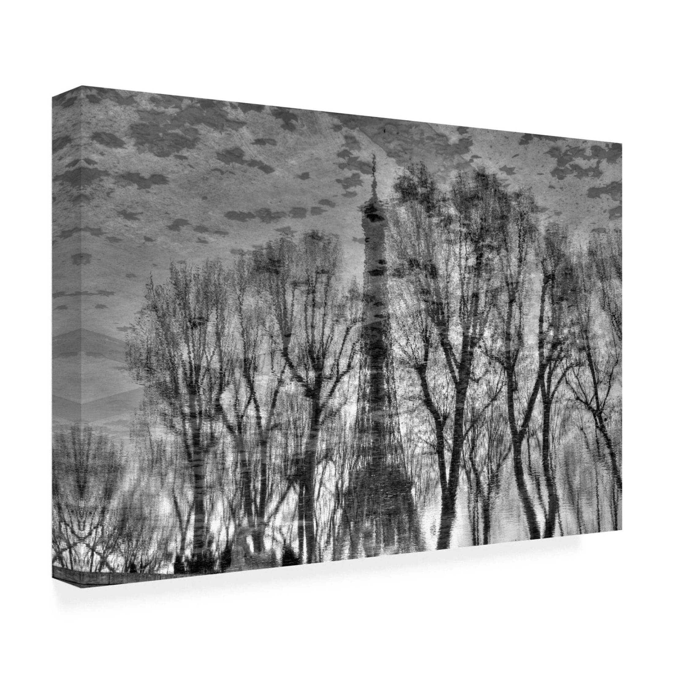 Canvas Wall Art - Philippe DEMARIA 'Reflection' Wall Art for Living Room, Bedroom, or Office D?cor by Trademark Fine Art - 47 x 30 Inches