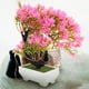 thumbnail image 3 of Plantas verdes simuladas en macetas falsas bonsai decoración de la planta falsa decoración del hogar, 3 of 8