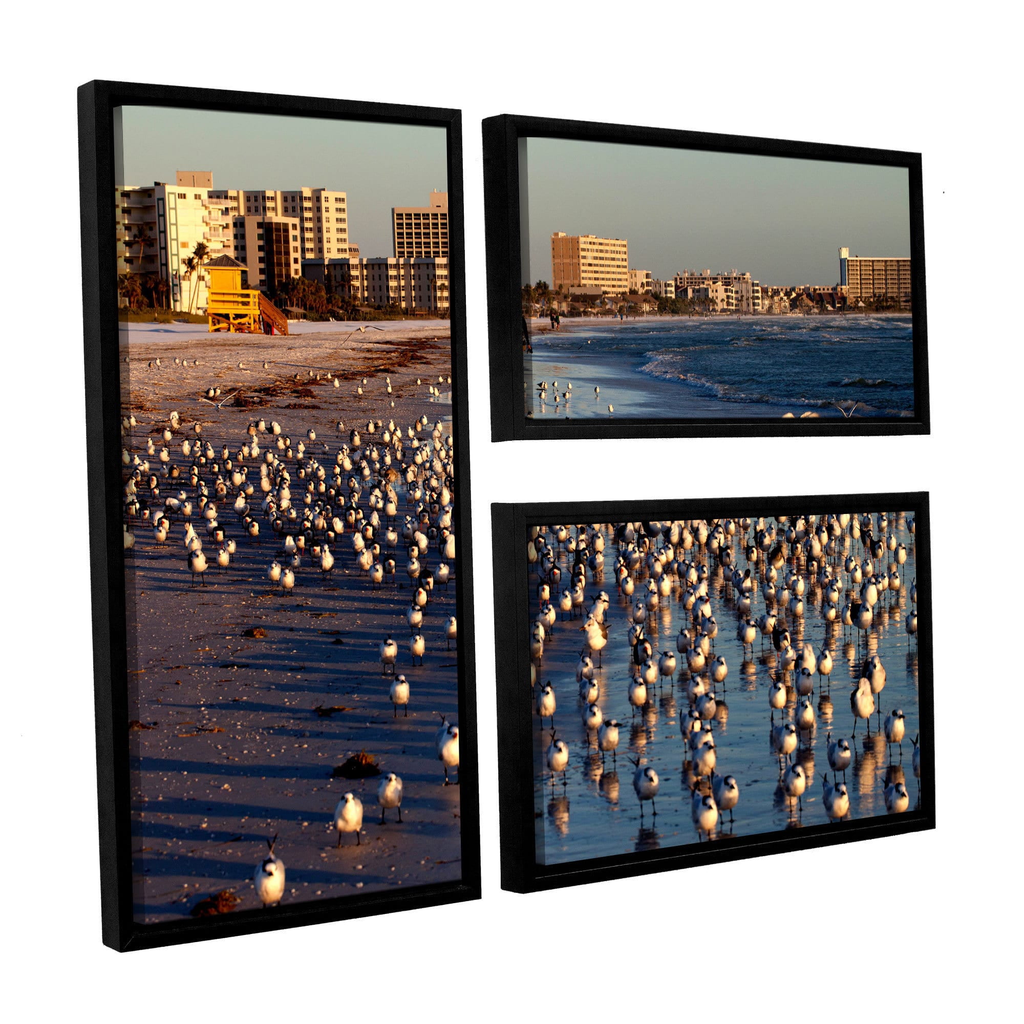 ArtWall Lindsey Janich "Seagulls" 3-Piece Floater Framed Canvas Flag Set