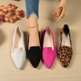 thumbnail image 3 of Women’s Pointed Toe Leopard Print Flats Lightweight Casual Slip-On Shoes, 3 of 5