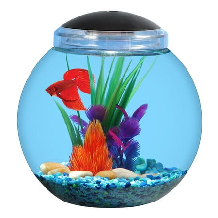 Aqua Culture 1-Gallon Globe Fish Bowl with LED (Best Fish For Fish Bowl)