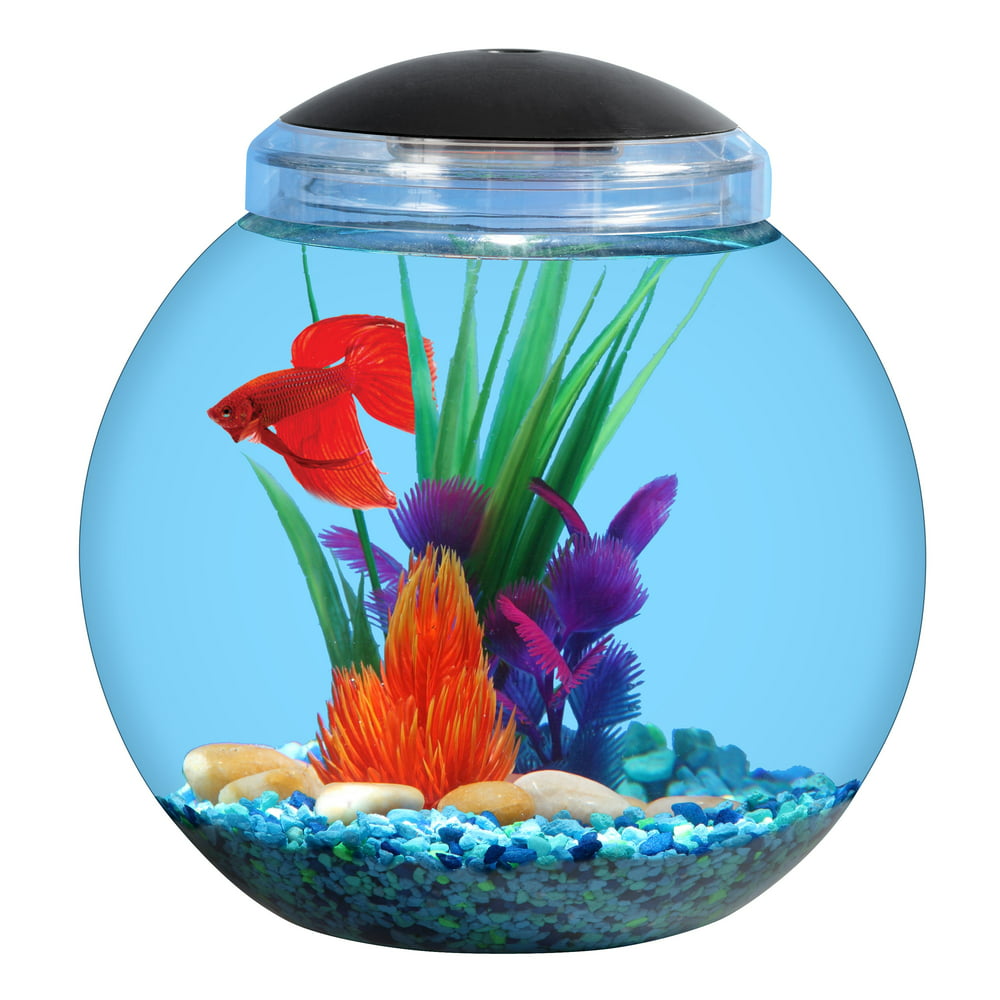 Aqua Culture 1-Gallon Globe Fish Bowl with LED Lighting, Ideal for