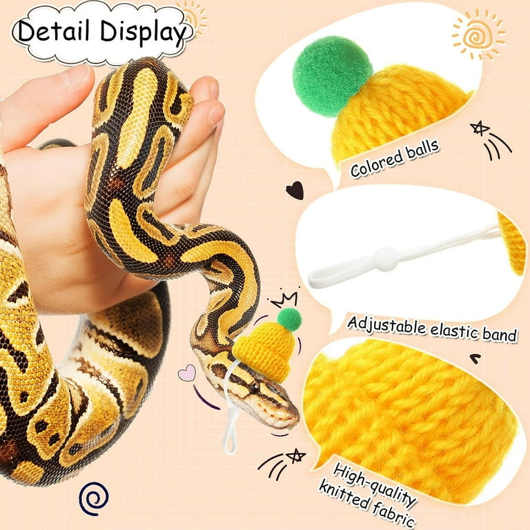 Pet snake accessories discount