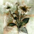 thumbnail image 2 of Bolokofsky, Ronald 12x12 Black Ornate Wood Framed with Double Matting Museum Art Print Titled - White Petals II, 2 of 4