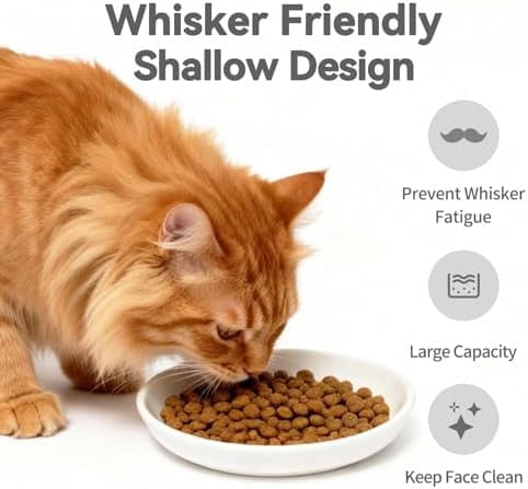 8 Pack Ceramic Cat Food Bowl, No Spill Cat Bowls Whisker-Friendly, Cute 5.9" Shallow Wide Kitten Plates, Easy to Clean Indoor Feeding Dishes