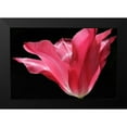 thumbnail image 2 of Schell, Jennie Marie 18x13 Black Modern Framed Museum Art Print Titled - Pink Star Tulip Flower, 2 of 5