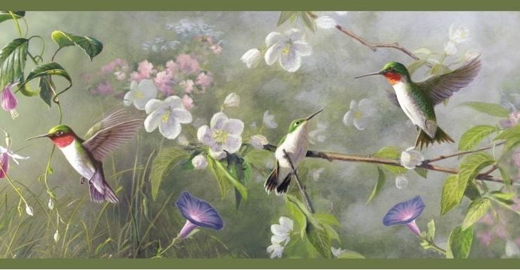 Hummingbirds above the Blooms Green Edge Easy Walls Wallpaper Border HTM48532B 