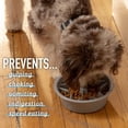 thumbnail image 3 of Cuenco para perros Slow Feeder Leashboss Cup Maze Puzzle Food, 4 tazas, 3 of 9