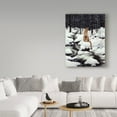 thumbnail image 3 of Trademark Fine Art 'Cougar' Canvas Art by Jeff Tift, 3 of 3