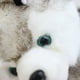 thumbnail image 5 of Peluche Realista Realista Anim Dog Dog Juguete hecho a mano Figura de juguete, 5 of 8