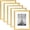 Gold, variant on 8x10 Picture Frame Set of 5, Display Pictures 5x7 with Mat or 8 x 10 Withou, Wall Gallery Photo Frames, Silver