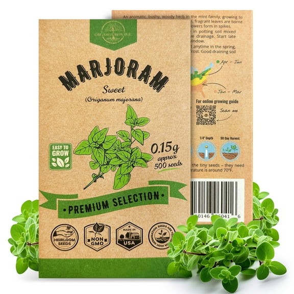 Organo Republic Marjoram Seeds – 500  Non-GMO Heirloom Seeds, 0.15g Packet for Planting Herbs Indoors & Outdoors, Sweet Culinary Herb for Home Garden