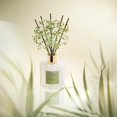 thumbnail image 4 of Difusor Reed Cocorrína Bamboo Stream Scent, 200 ml, con 8 barras, 4 of 7