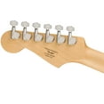 thumbnail image 7 of Fender Squier Sonic Stratocaster Pack - Surf Green Bundle with Frontman 10G Amp, Gig Bag, Instrument Cable, Strap, Picks, and 3-Month Fender Play, 7 of 7