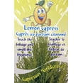 thumbnail image 4 of Lemon Scented Goldcrest Cypress Tree - Indoors/Out - 4.5" Pot, 4 of 4