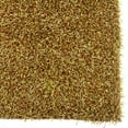 thumbnail image 3 of Confetti Collection Grass Green 1 10 x 2 10, 3 of 3