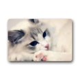 thumbnail image 1 of RYLABLUE Paillasson Chat Ragdoll Tapis de Sol Tapis Extérieur/intérieur Taille 23.6x15.7 Pouces, 1 of 1