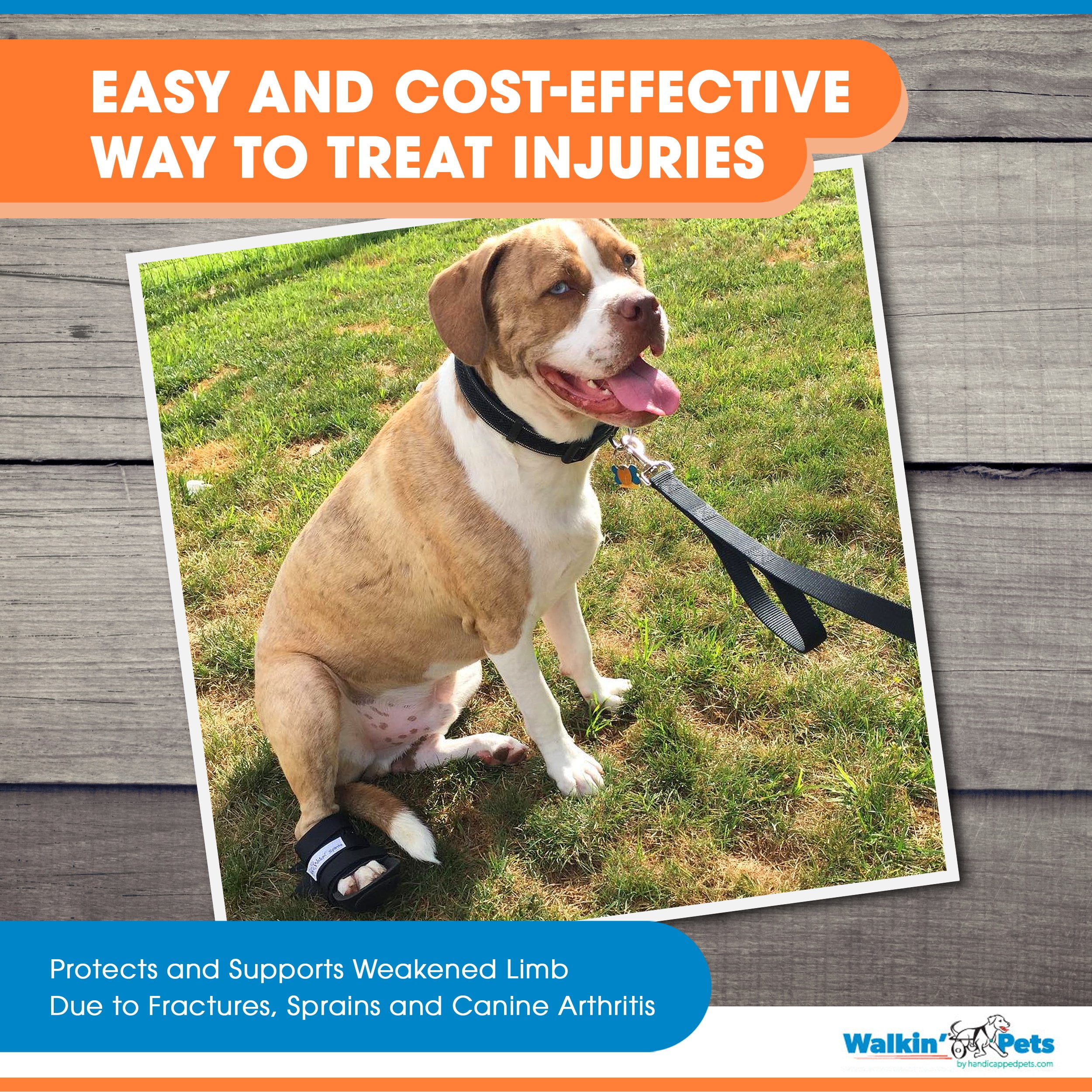 bootie splint for dogs