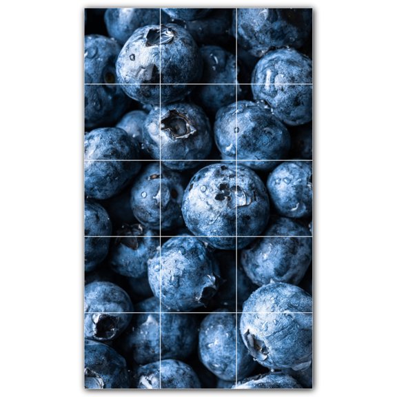 Picture-Tiles.com: Fruit Ceramic Tile Wall Mural WAL500681-35S. 12.75"W x 21.25"H using (15) 4.25" x 4.25" Ceramic Tiles-Satin Finish