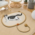 thumbnail image 2 of Alfombrilla para rascar para gatos, muebles protectores, suelo, pared, almohadilla para rascar para gatos, rascador para gatos Naranja S, 2 of 7