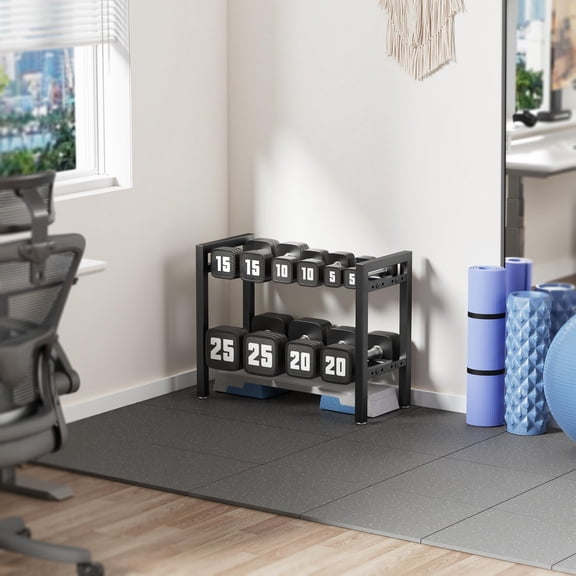 2-Tier Adjustable Dumbbell Rack For Home Gym Weight Storage