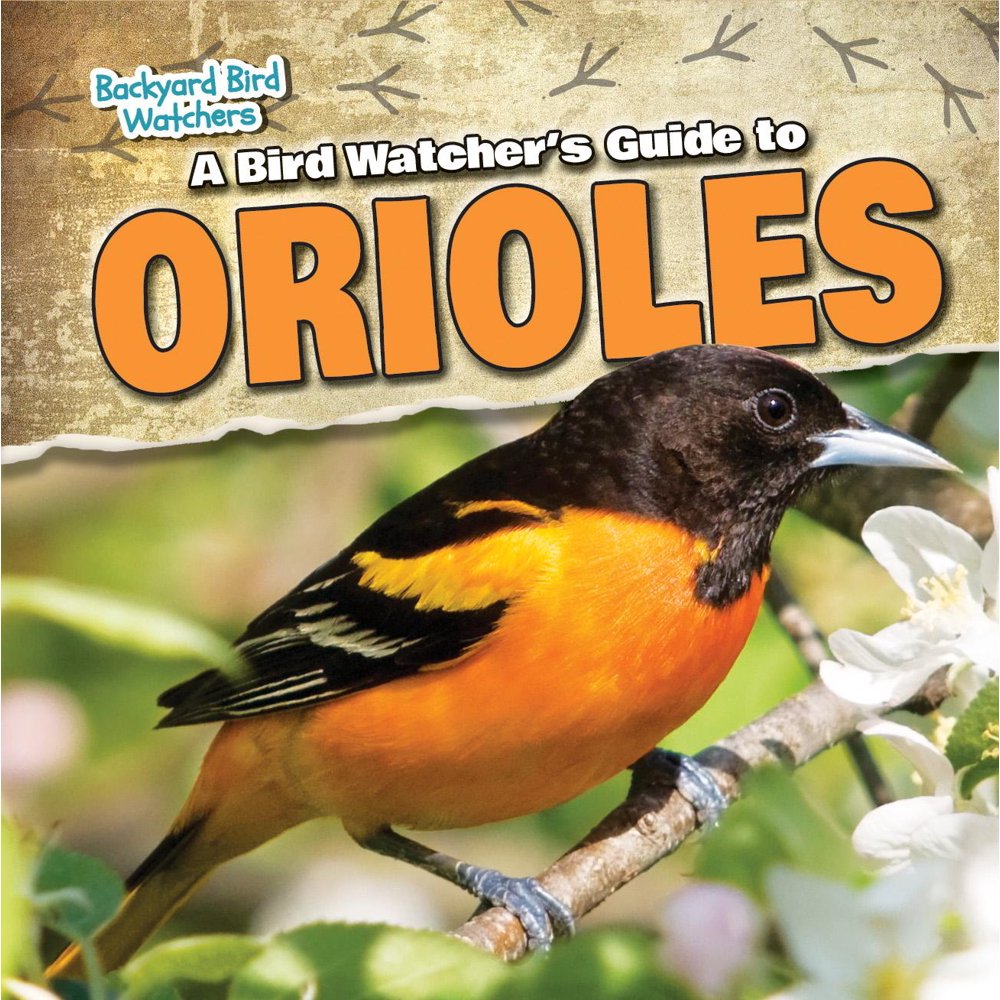 Backyard Bird Watchers A Bird Watcher's Guide to Orioles (Hardcover