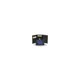 University Of Kentucky Wildcats NCAA Football Iron-On Embroidered Patch - Blue & White