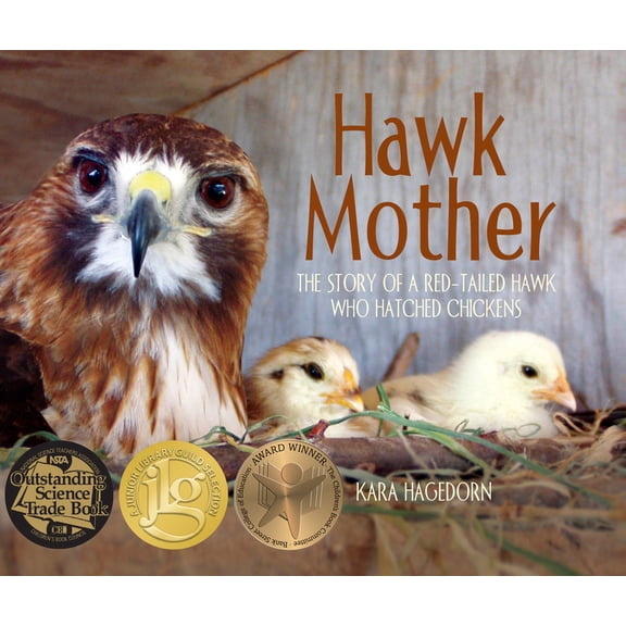Hawk Mother Hawk Mother: The Story of a Red-Tailed Hawk Who Hatched Chickens, Book 1, (Paperback)