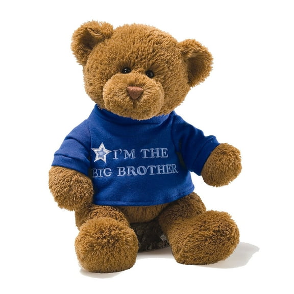 Gund Blue I'M THE BIG BROTHER Polyester Blend Plush Bear QGM9753