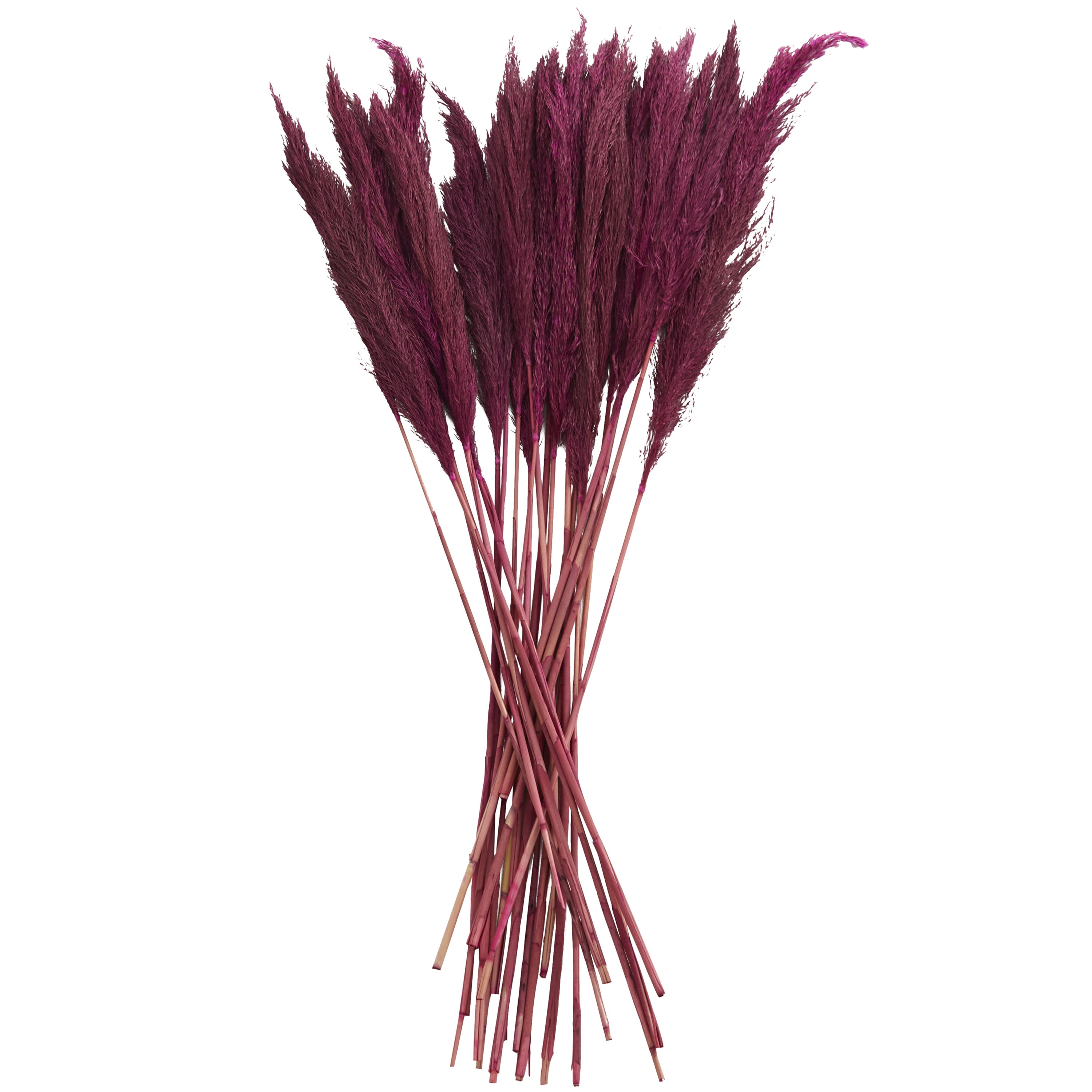 35" Dried Plant Natural Foliage Pampas Bouquet with Long Stems, by DecMode