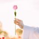 thumbnail image 4 of Artificial Flower Crochet Tulips, Crochet Flower Simulation, Handmade Artificial Tulips, DIY Home Decor, Wedding Centerpiece, Table Accent, Lightweight, Foldable, Porch, Living Room, 100%, 4 of 9