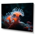 thumbnail image 2 of Designart "Actinia'S Orange Natural Beauty" Coastal Coral Under Water Canvas Art Print, 2 of 7