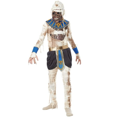 Pharaoh's Revenge Child Costume