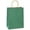 Green, variant on Gift Bags 8x4.25x10.5 100Pcs Brown Paper Gift Bags with Handles Bulk for Wedding, Party Favor, Grocery, Shopping, Retail, Merchandise Medium Kraft Paper Sacks